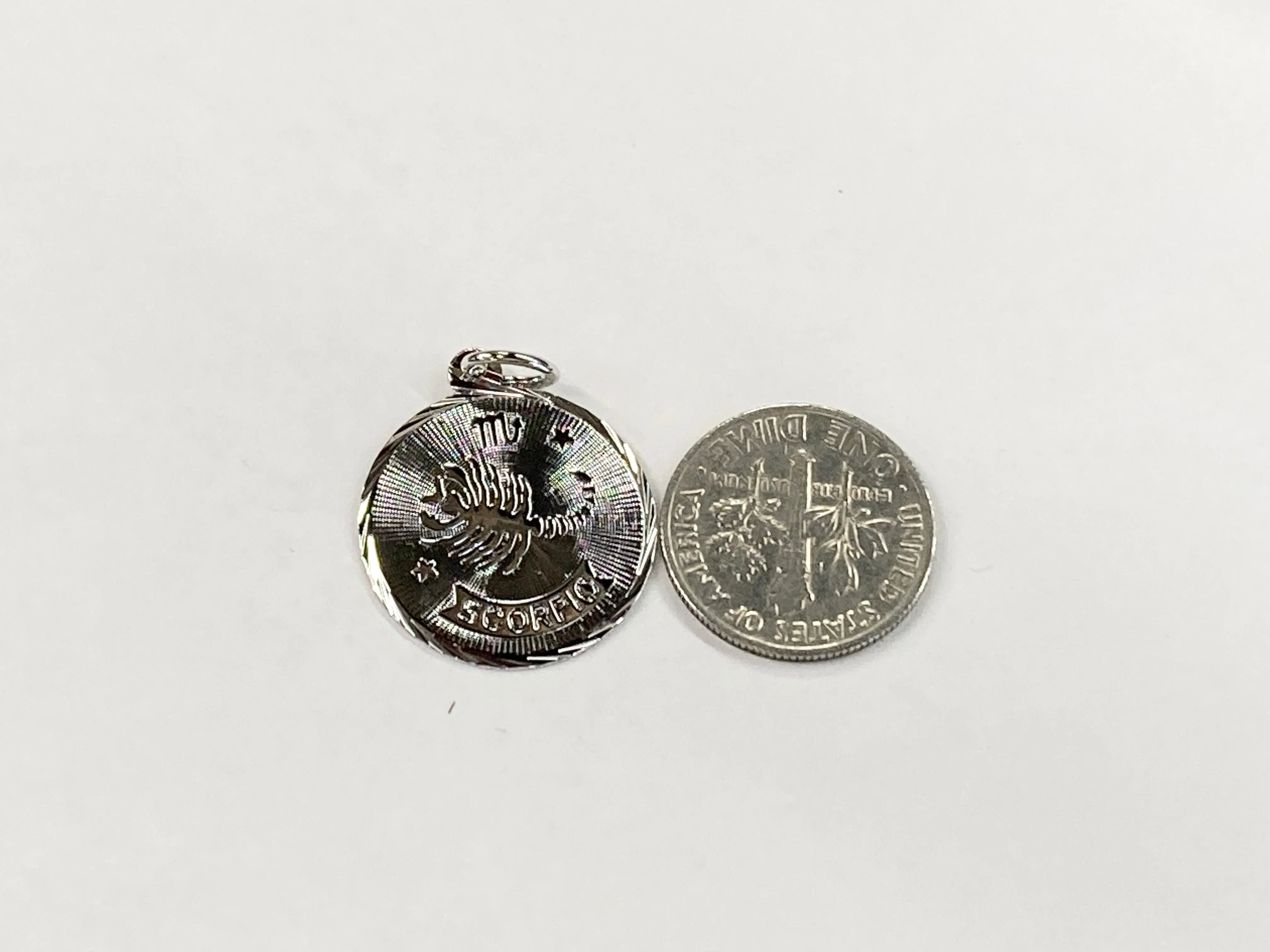 Scorpio Silver Charm